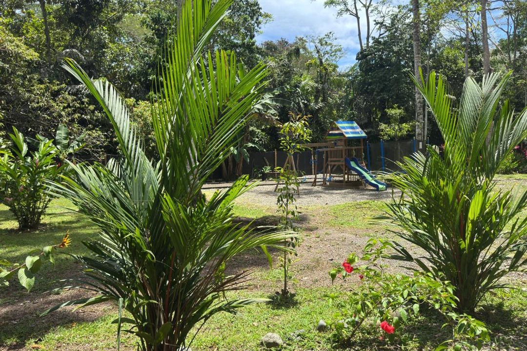 Photo of Others in Cahuita
