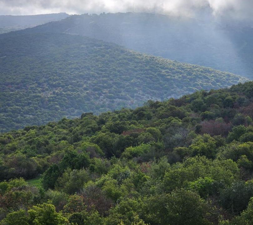 Photo of Others in Ajloun
