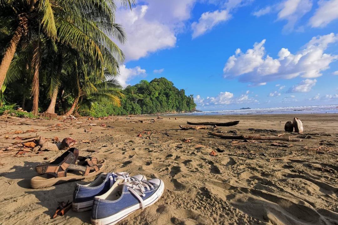 Photo of Others in Puerto Jimenez