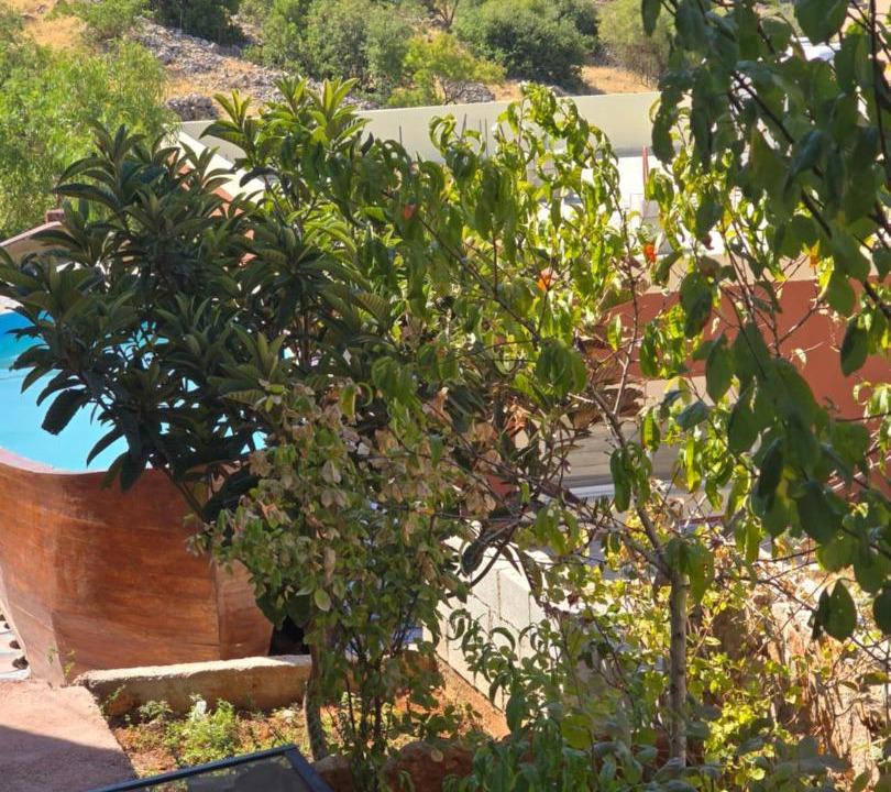 Photo of Others in Ajloun Governorate