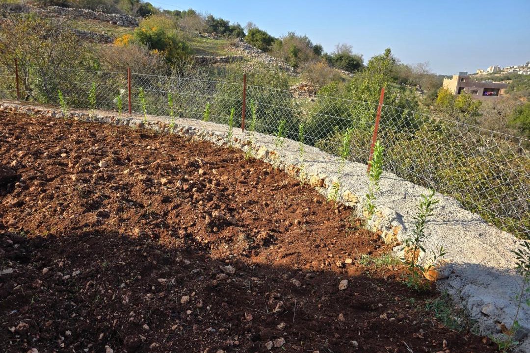 Photo of Others in Ajloun Governorate
