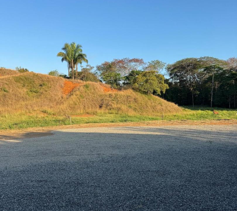 Photo of Others in Jaco