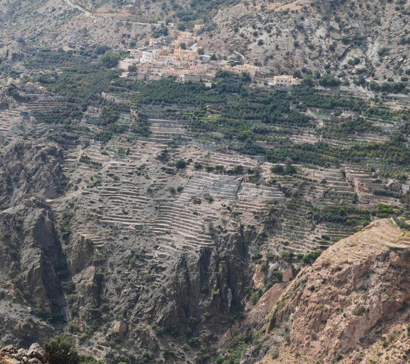 Photo of Others in Sayq