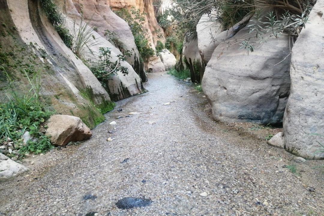 Photo of Others in Dana