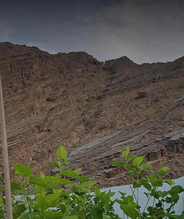 Photo of Others in Ash Shab