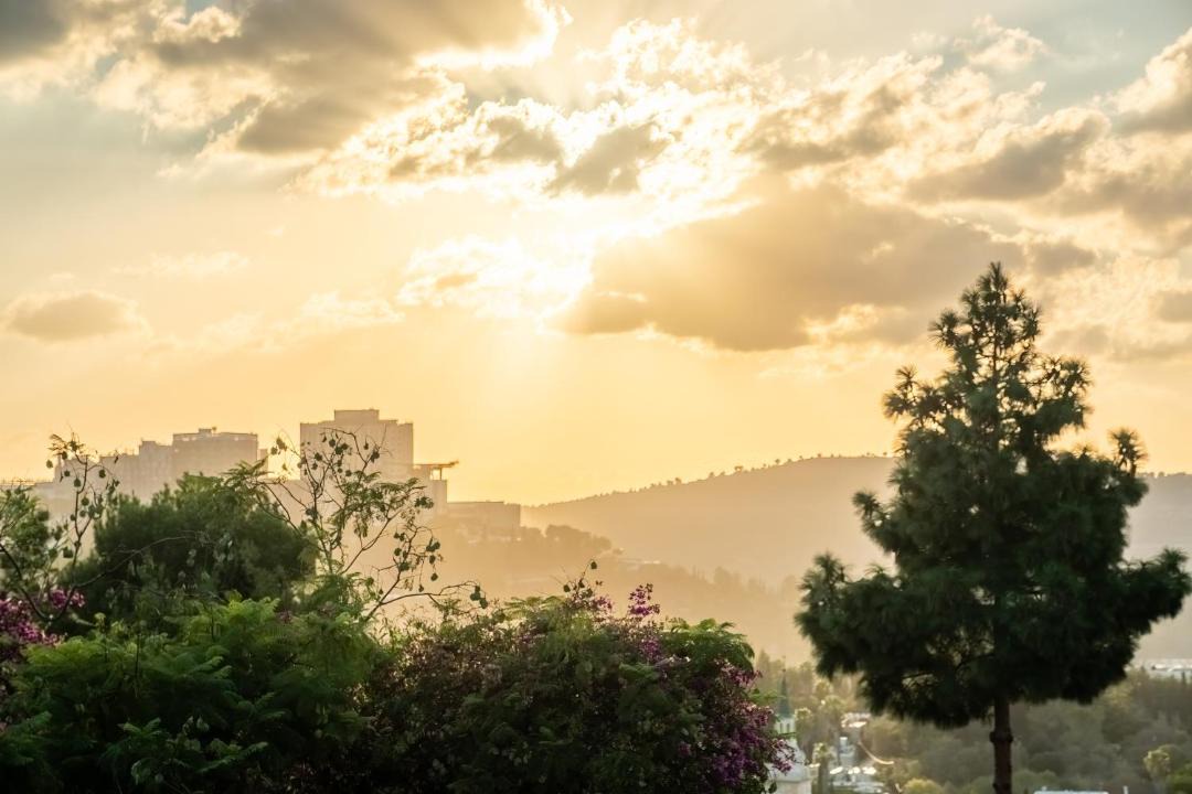 Photo of Others in Ein Karem