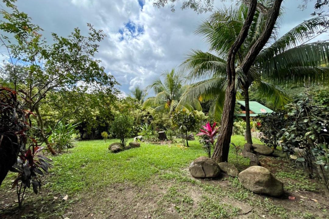 Photo of Others in Curubande