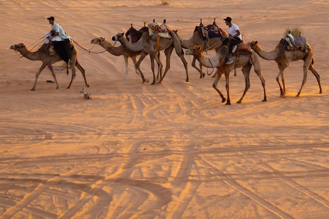Photo of Others in Al-Quwayrah