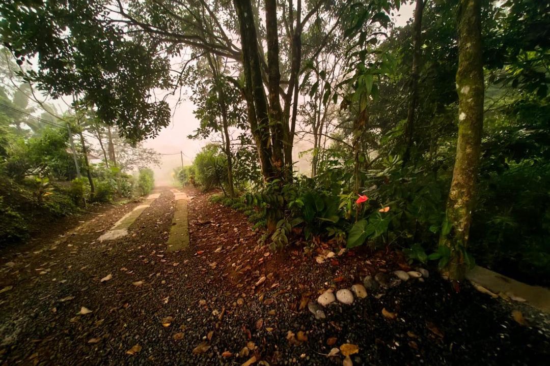 Photo of Others in Vieja