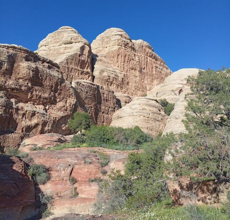 Photo of Others in Dana