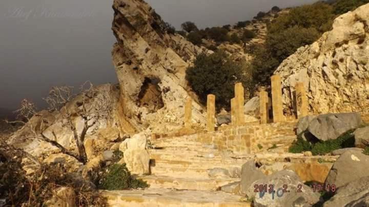 Photo of Others in Dana