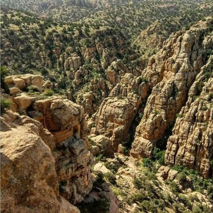 Photo of Others in Dana