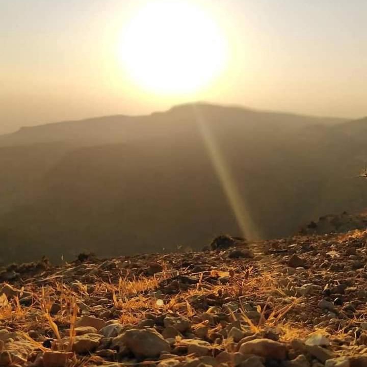 Photo of Others in Dana