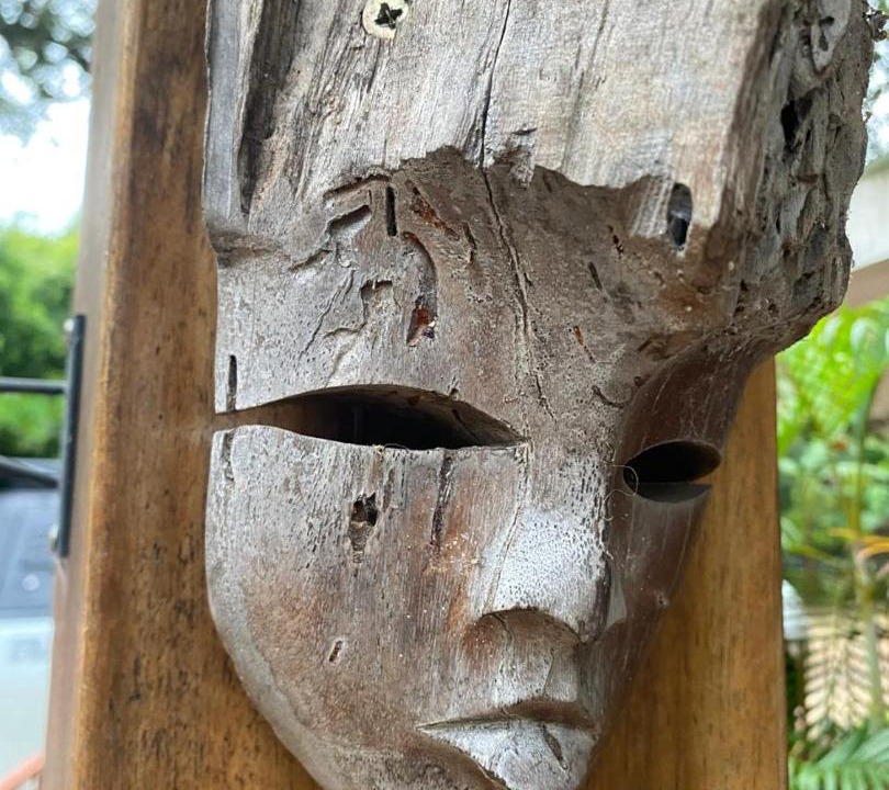 Photo of Others in Tamarindo