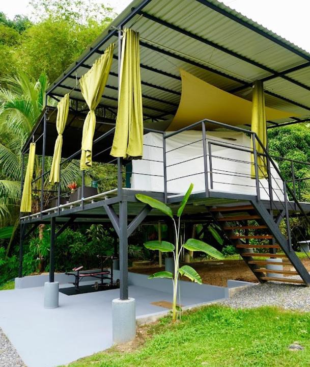 Photo of Others in Palmar Norte