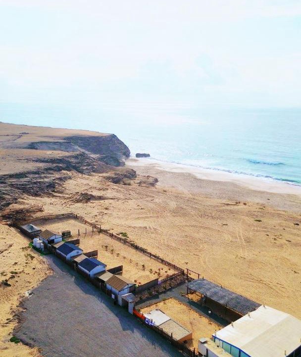 Photo of Others in Al Hadd