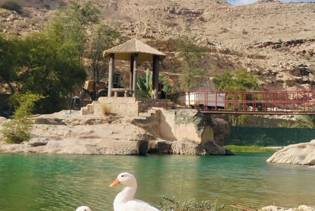 Photo of Others in Wadi Bani Khalid