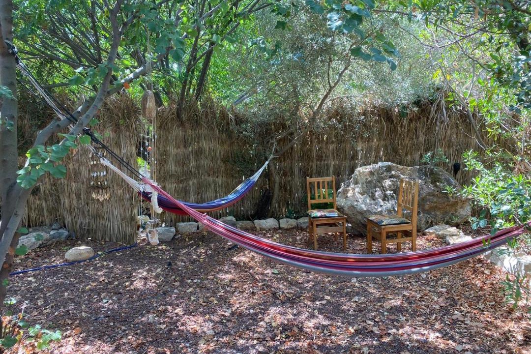Photo of Others in Ein Hod Artists Village
