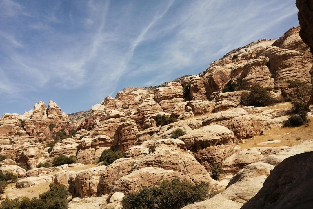 Photo of Others in Dana
