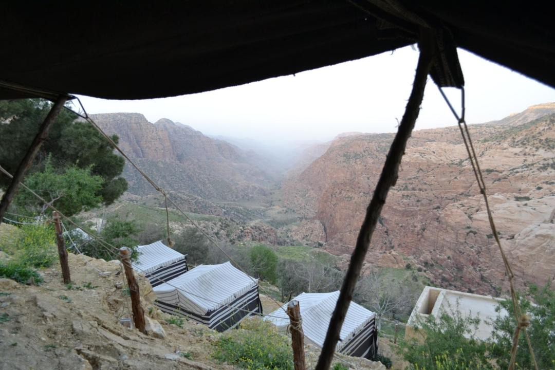 Photo of Others in Dana