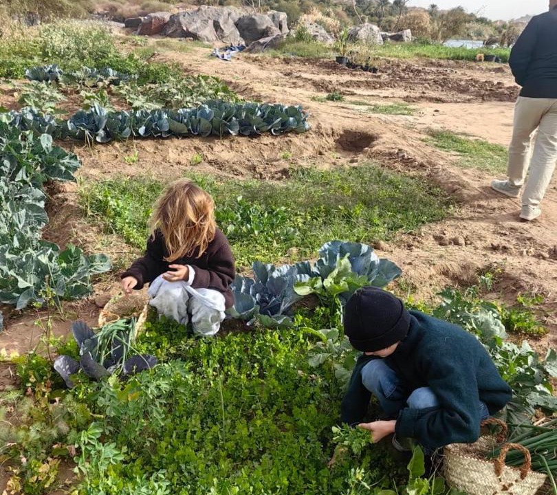 Photo of Others in Seheil Island