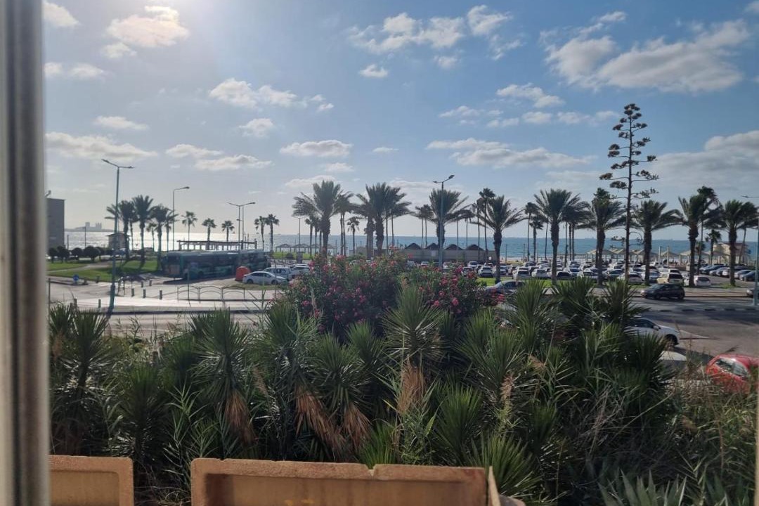 Photo of Others in Haifa