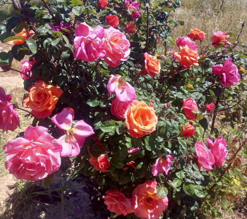 Photo of Outdoor in Ma'In