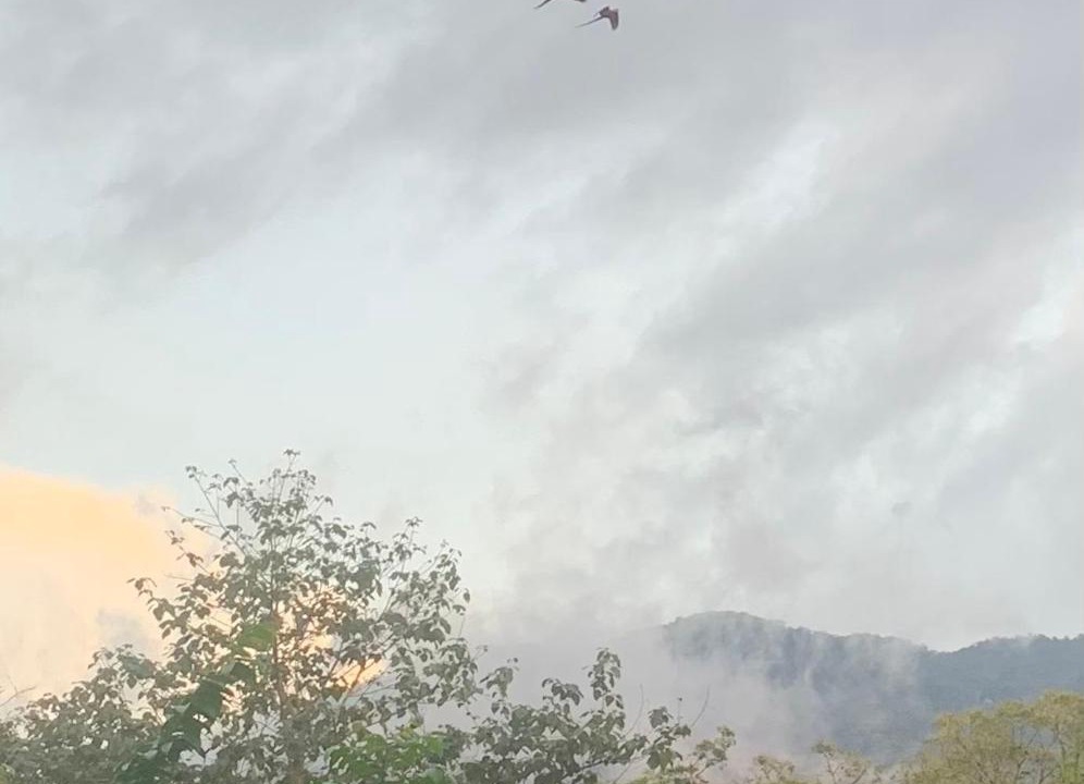 Photo of Others in Garabito