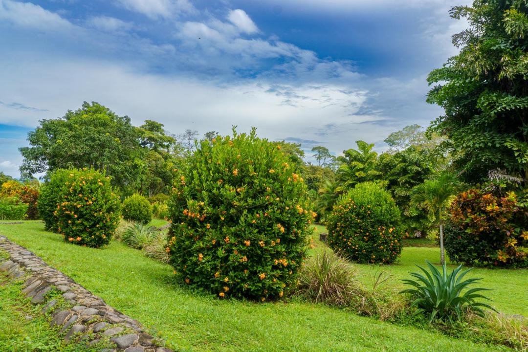 Photo of Others in Montezuma