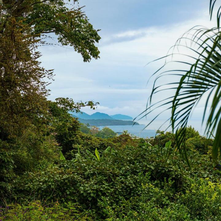 Photo of Others in Montezuma