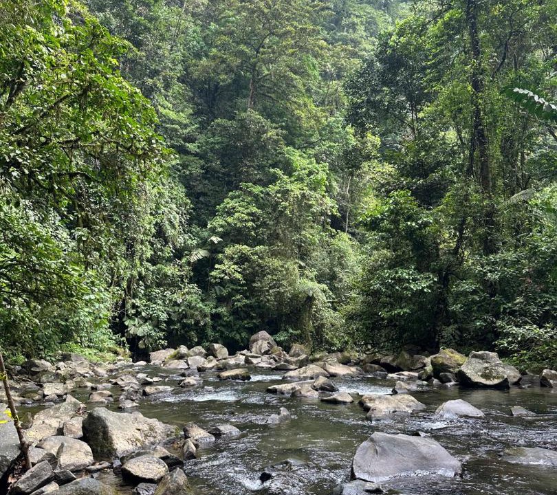 Photo of Others in La Fortuna