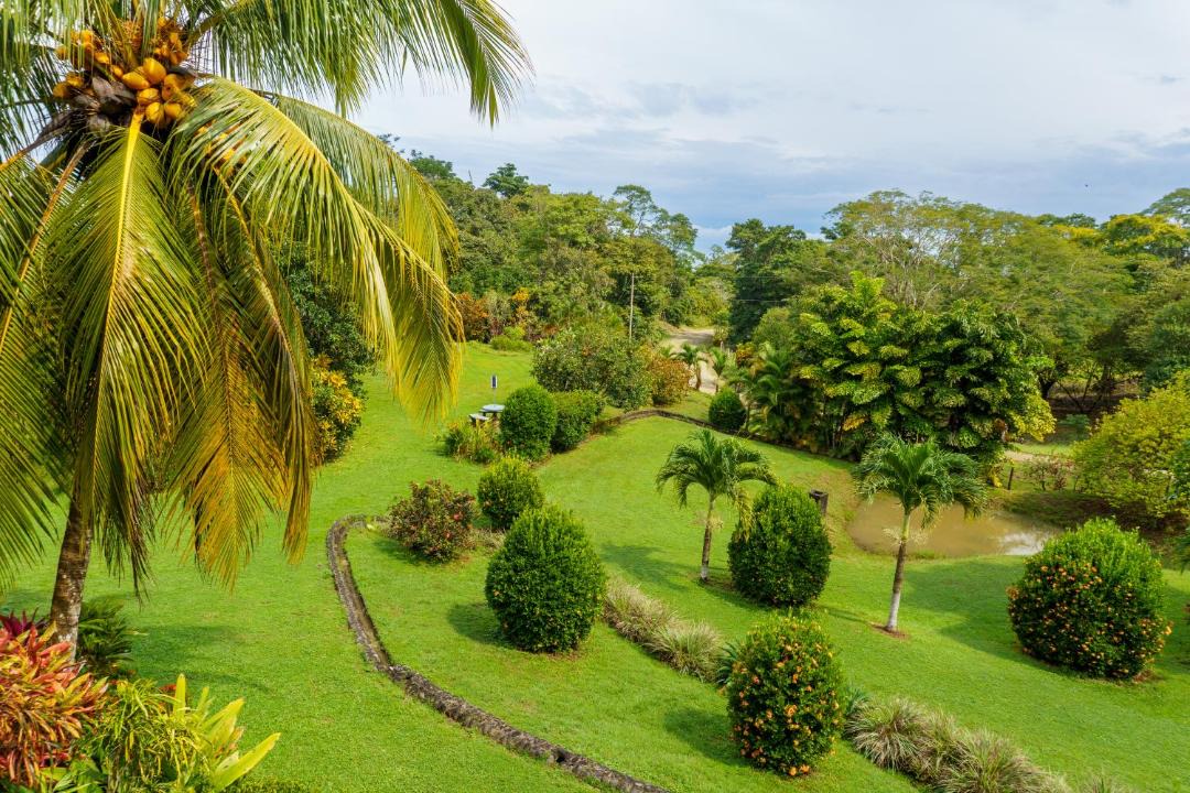 Photo of Others in Montezuma