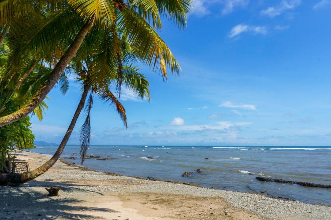 Photo of Others in Montezuma