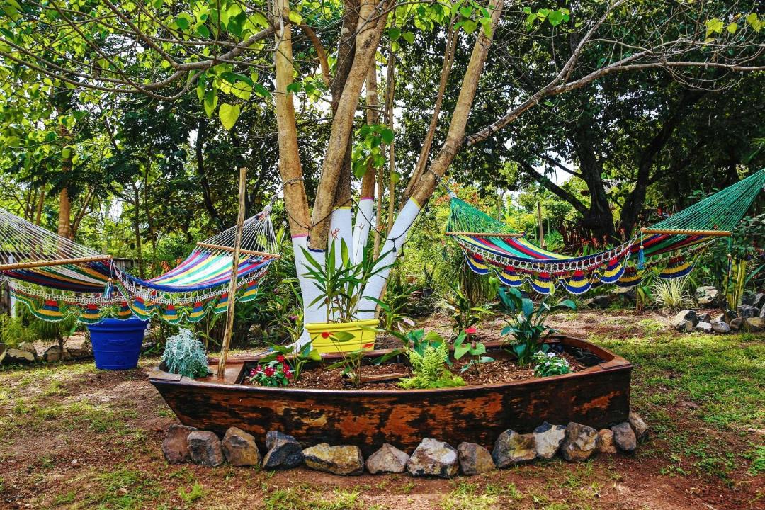 Photo of Others in Playa Grande
