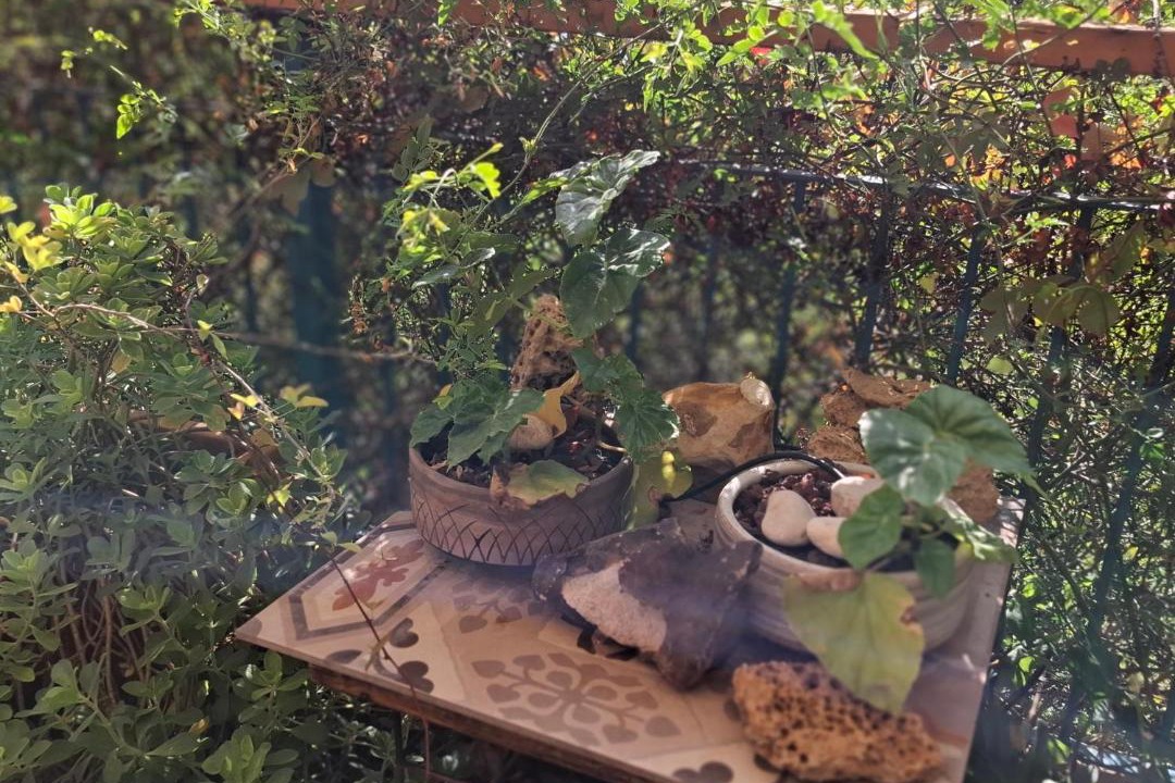Photo of Others in Misgav