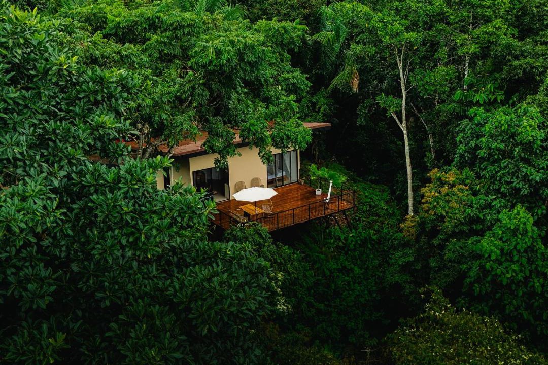 Photo of Others in Puerto Jimenez
