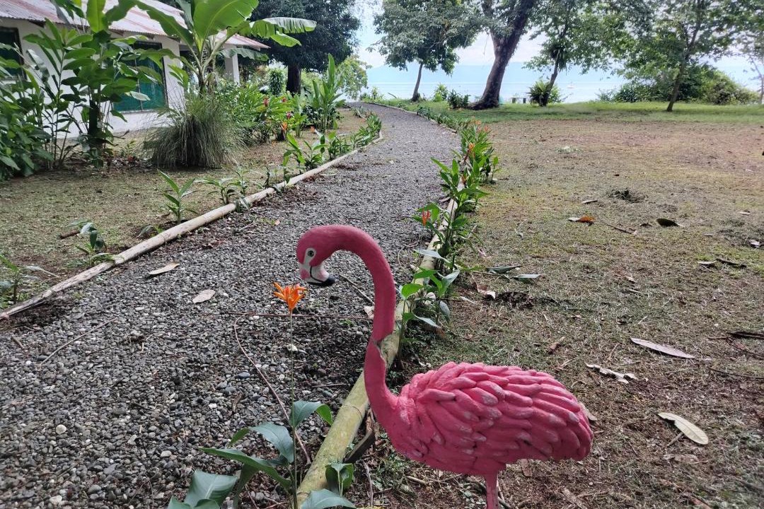 Photo of Others in Puerto Jimenez