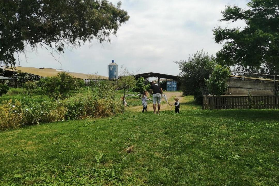 Photo of Others in Sede Ilan