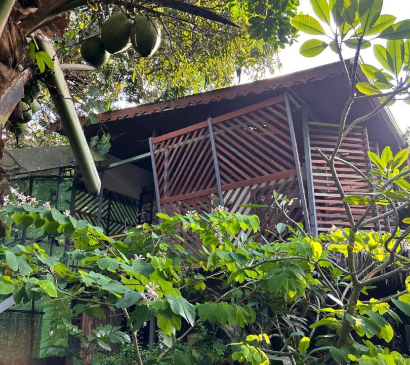 Photo of Others in Puerto Viejo de Talamanca