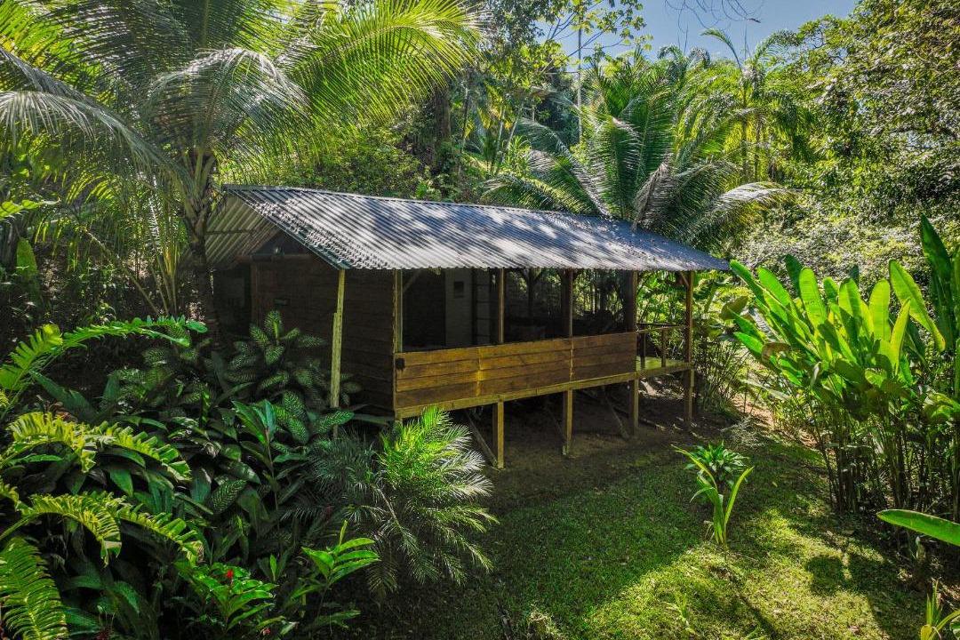 Photo of Others in Dominical