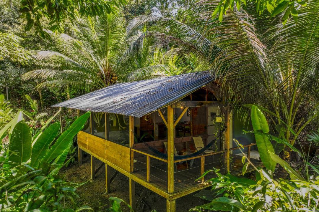 Photo of Others in Dominical