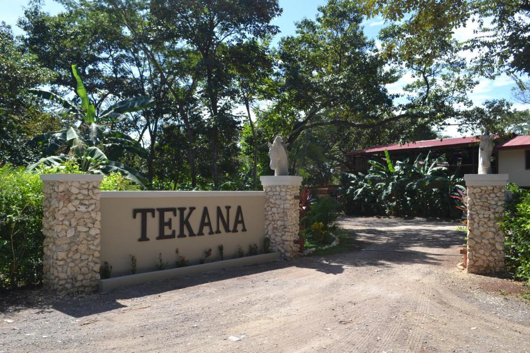 Photo of Others in Tamarindo