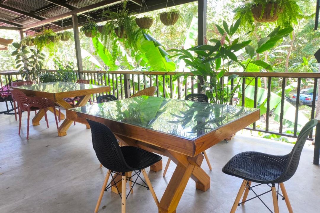 Photo of Others in Tamarindo
