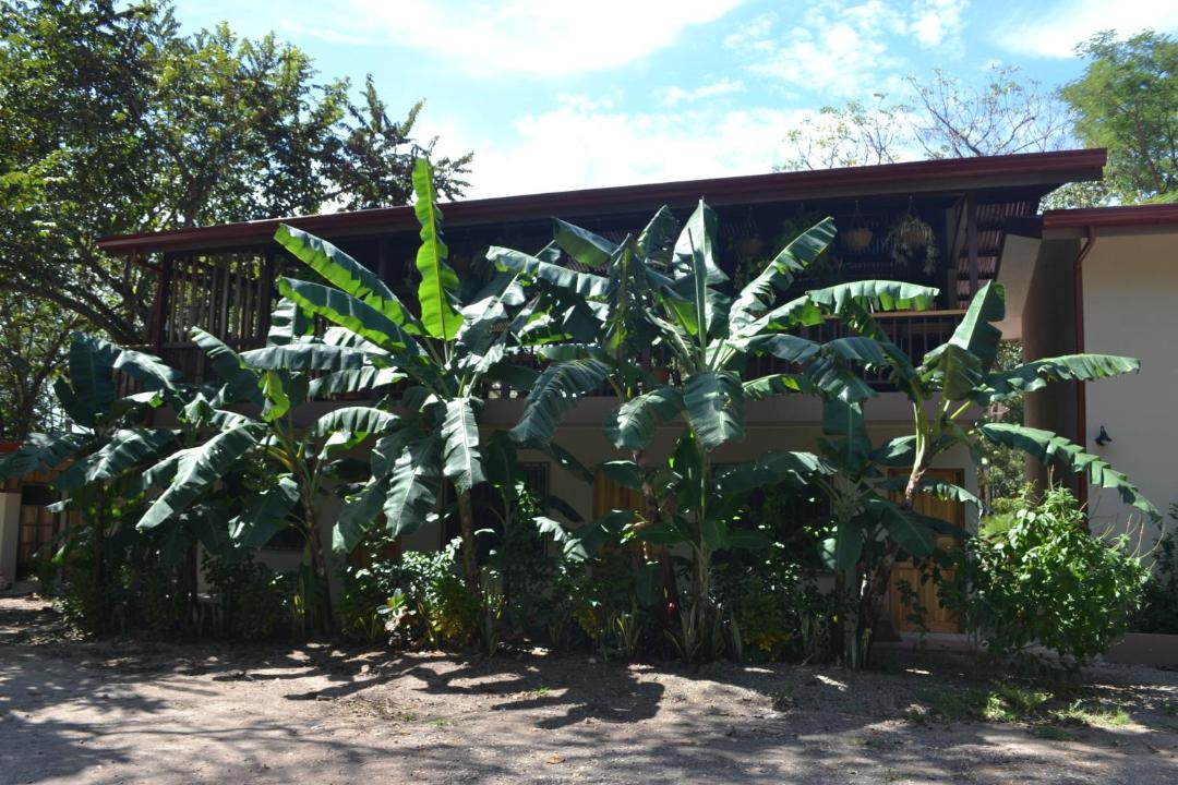 Photo of Others in Tamarindo