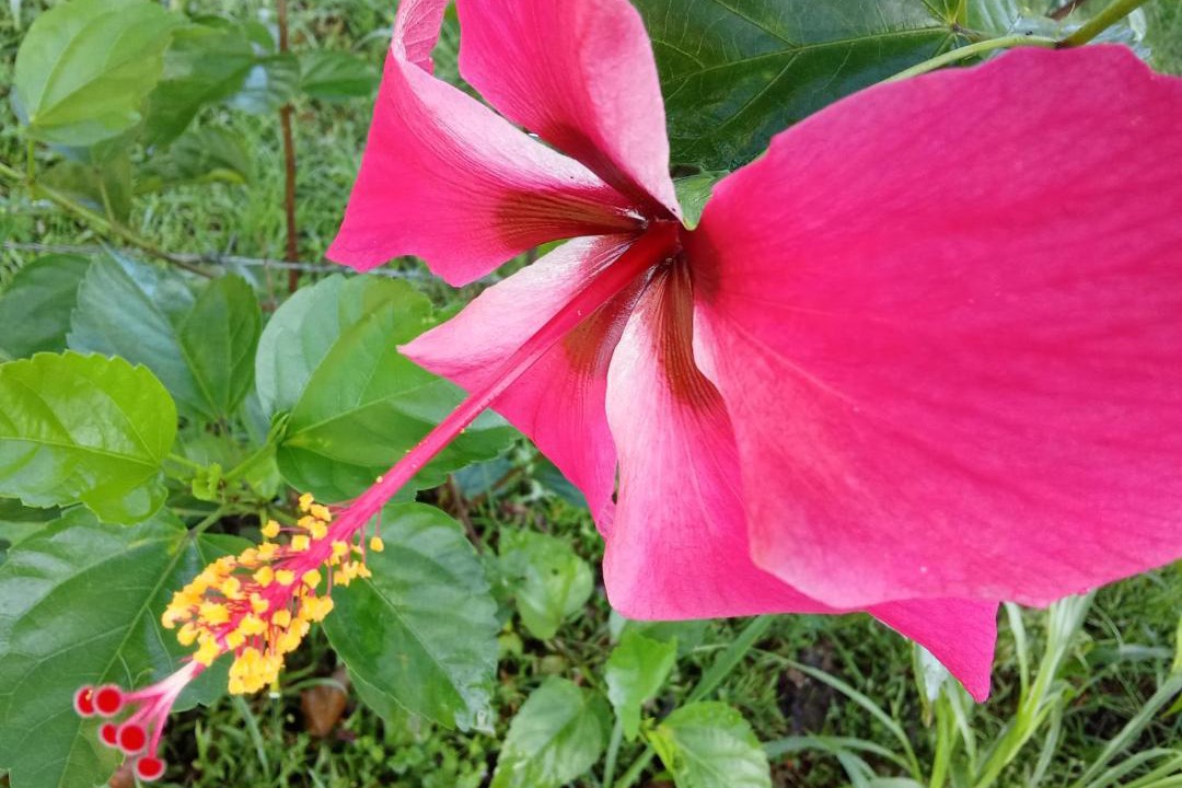 Photo of Others in Agujas