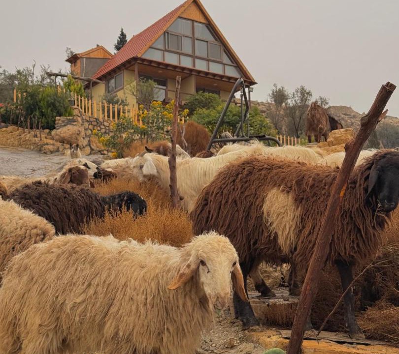 Photo of Others in Dana