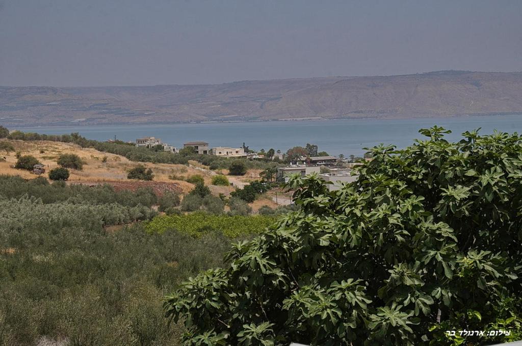 Photo of Others in Migdal