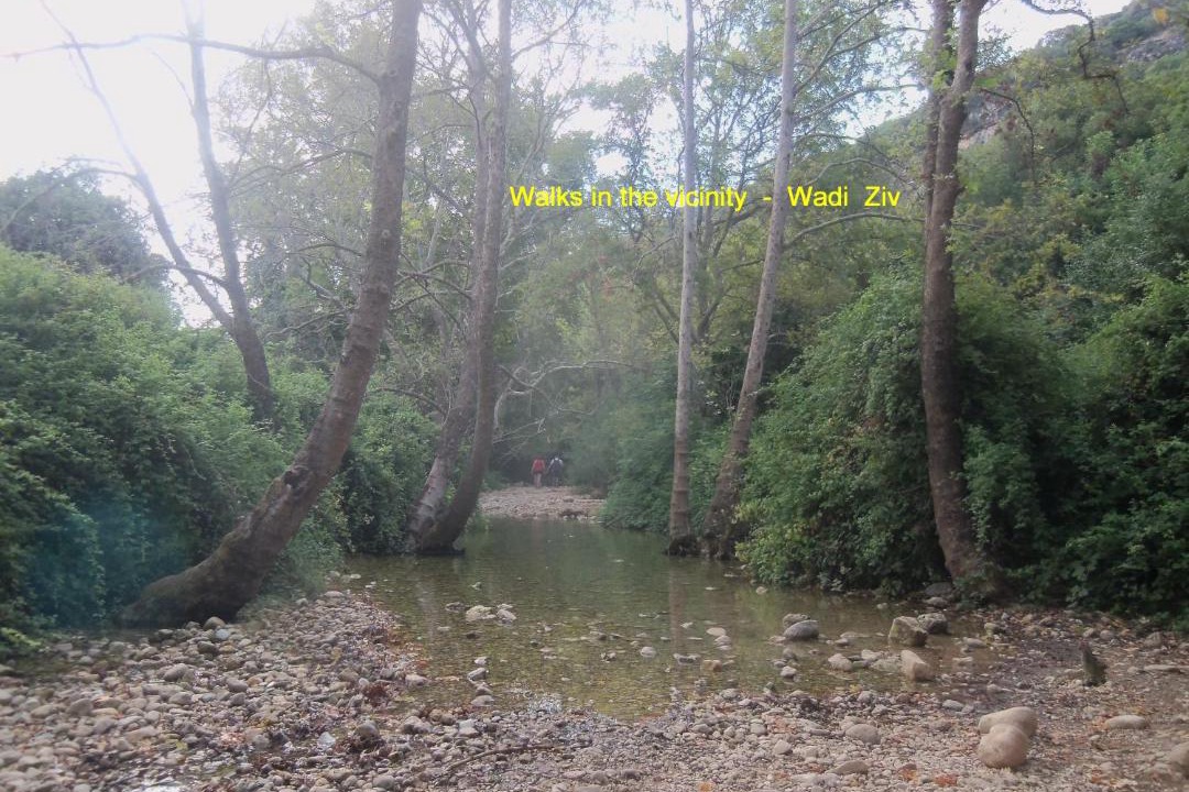Photo of Others in Manot