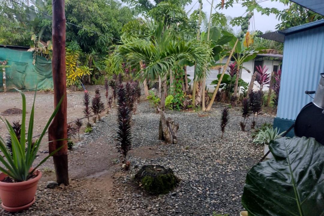 Photo of Others in Puerto Jimenez