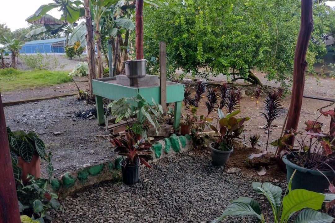 Photo of Others in Puerto Jimenez